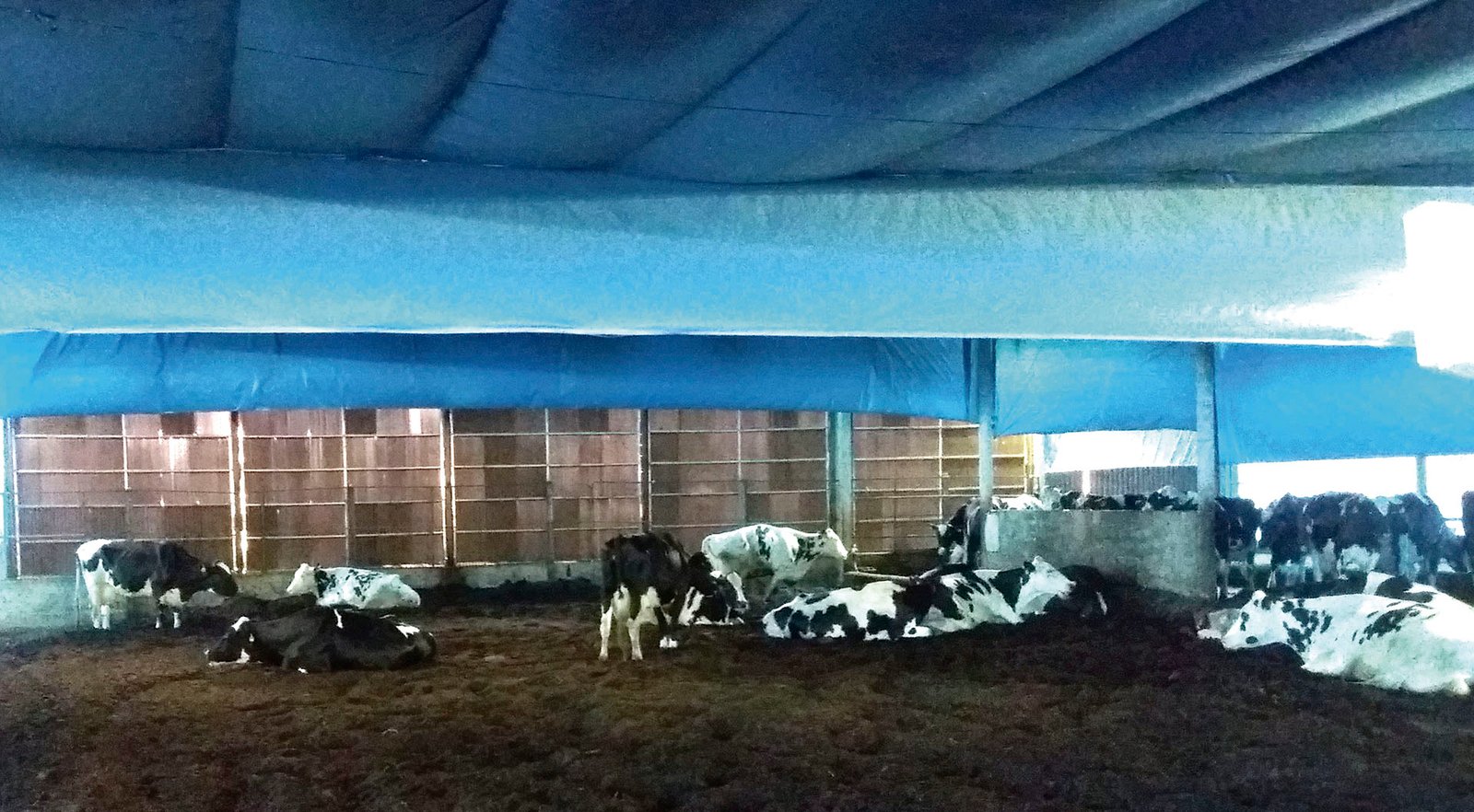 revista-balde-branco-compost-barn-01b-ed670