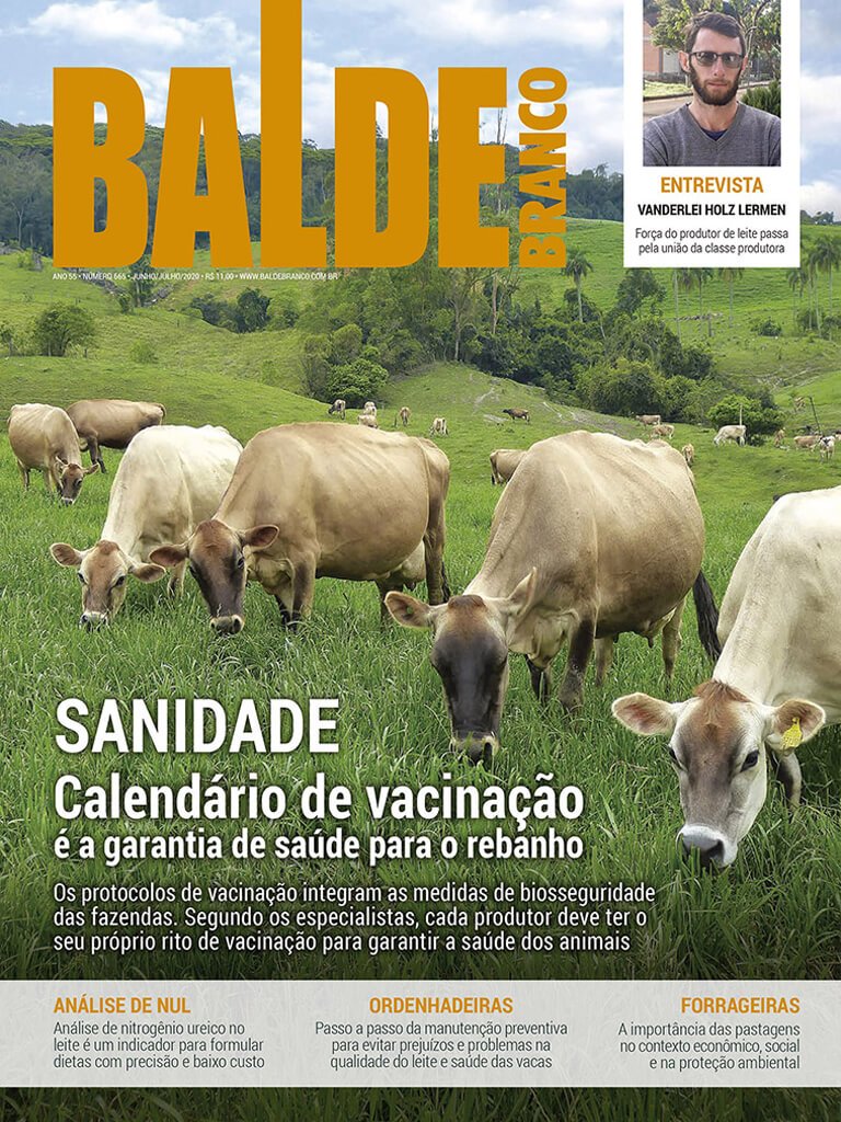 Junho/2020 | edicao-665
