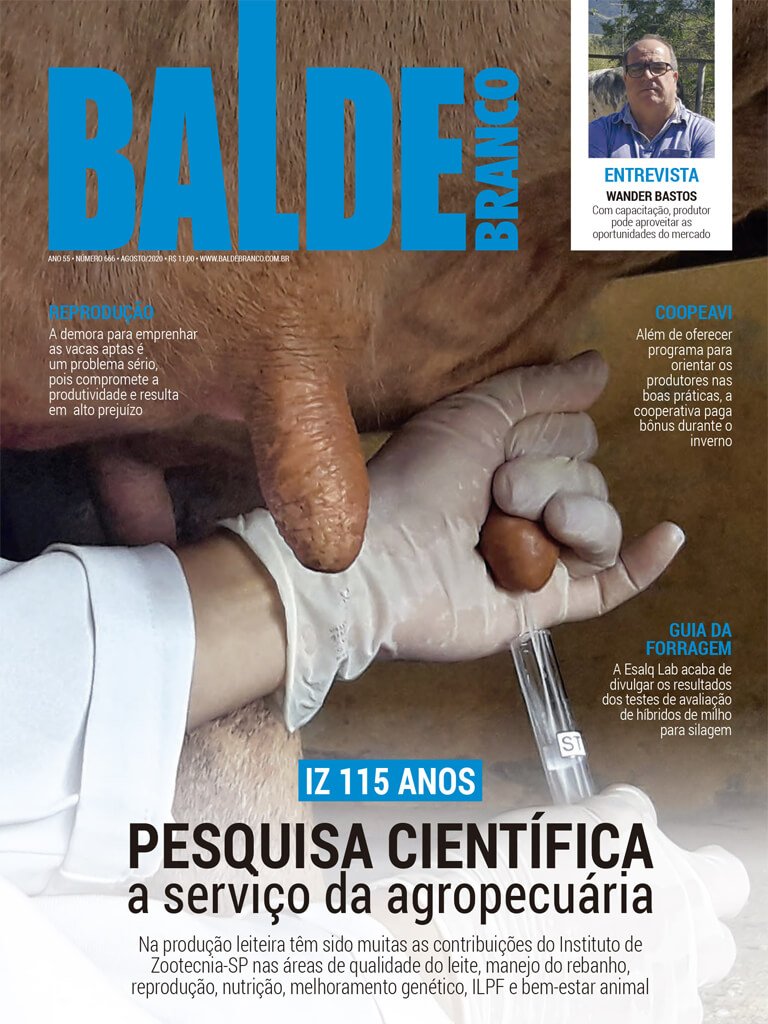 Julho/2020 | edicao-666