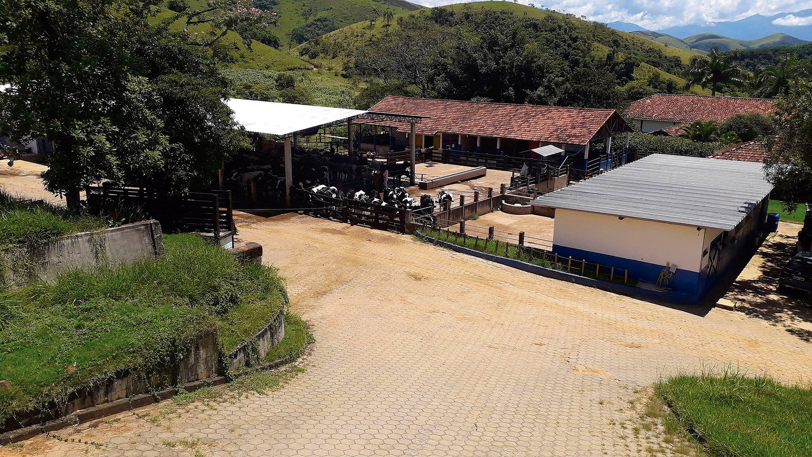 revista-balde-branco-fazenda-01-ed672