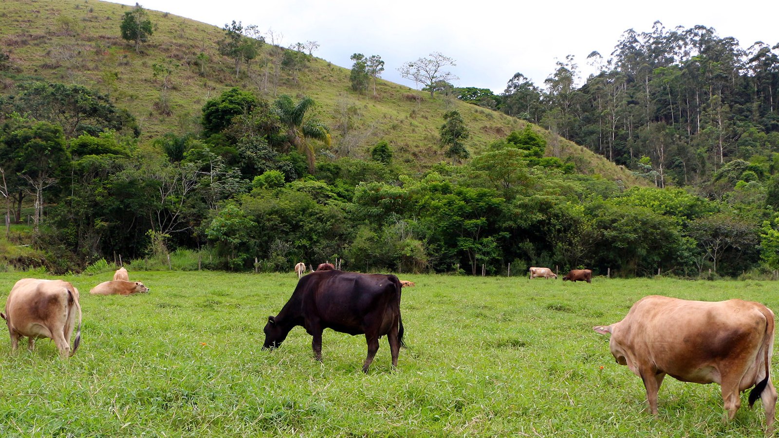 revista-balde-branco-sustentabilidade-01-ed681