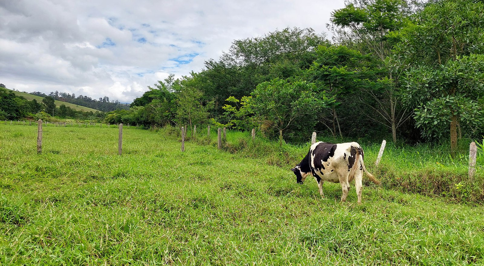 revista-balde-branco-pagamento-ambiental-01-ed683