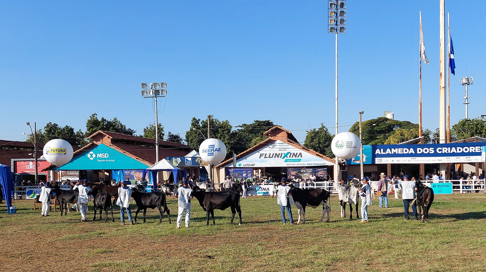 revista-balde-branco-megaleite-01-ed687